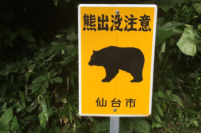 岩切城　クマ