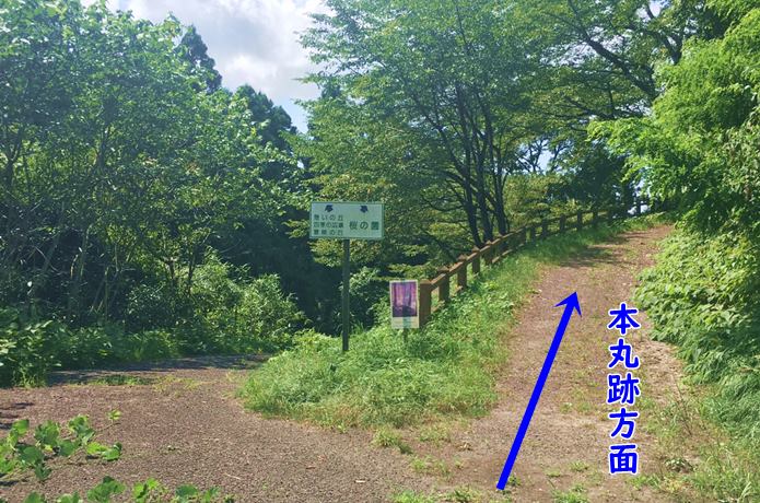 利府城跡　分かれ道