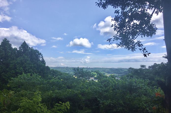 利府城跡からみえる景色