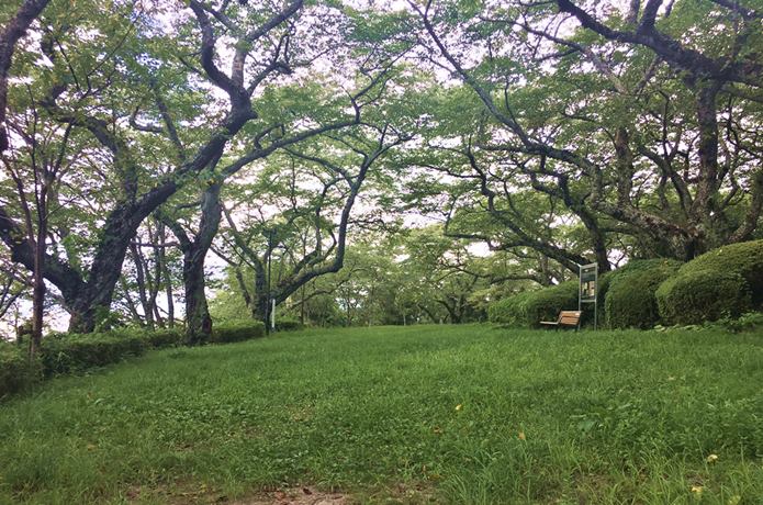 利府城　本丸跡