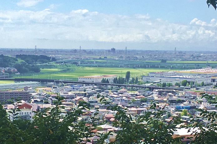 利府城から望む景色