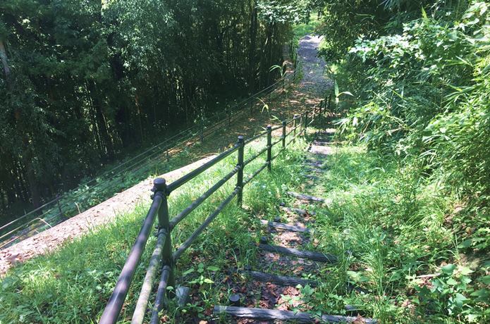 利府城　分かれ道