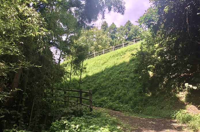 利府城跡　遊歩道
