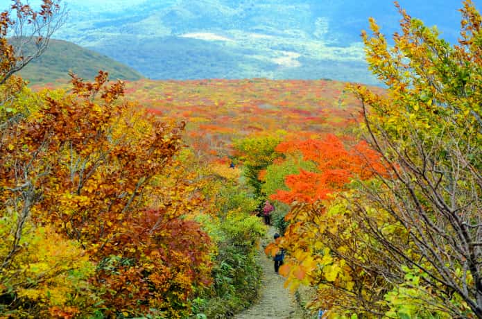 栗駒山　中央コース