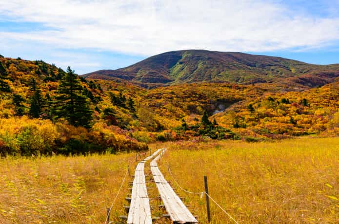 栗駒山　須川コース