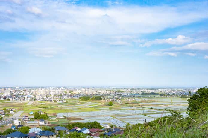 仙台 田んぼ