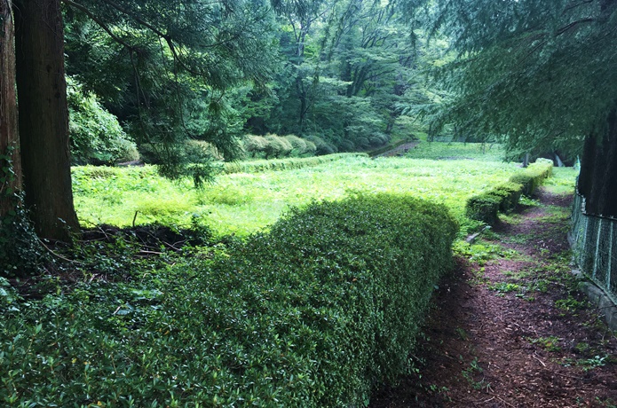 岩出山城　散策