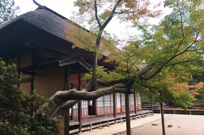紅葉と有備館