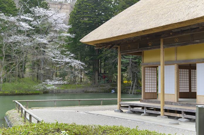 有備館　桜
