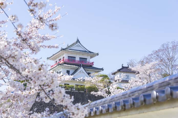 涌谷城と桜