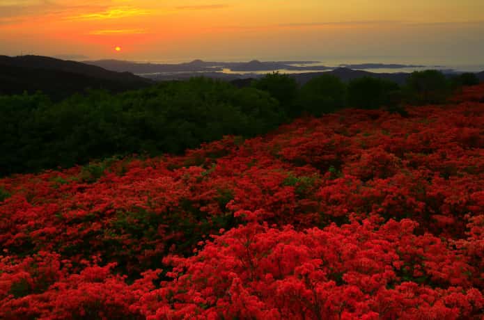 徳仙丈山　夕日