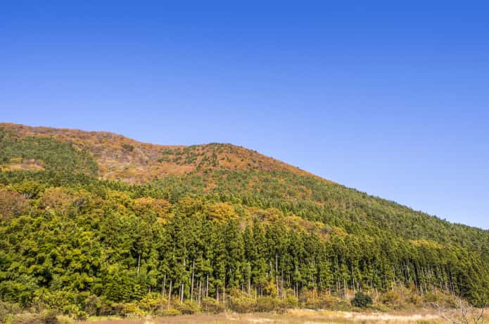 薬莱山　紅葉