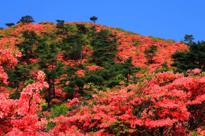 徳仙丈山