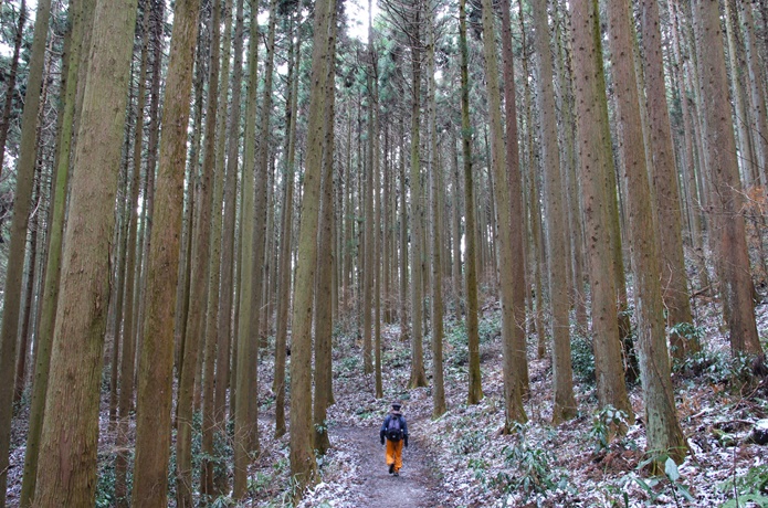 太白山　登山道