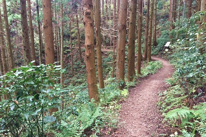 太白山　山道