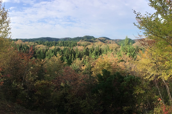 太白山　山頂　北東