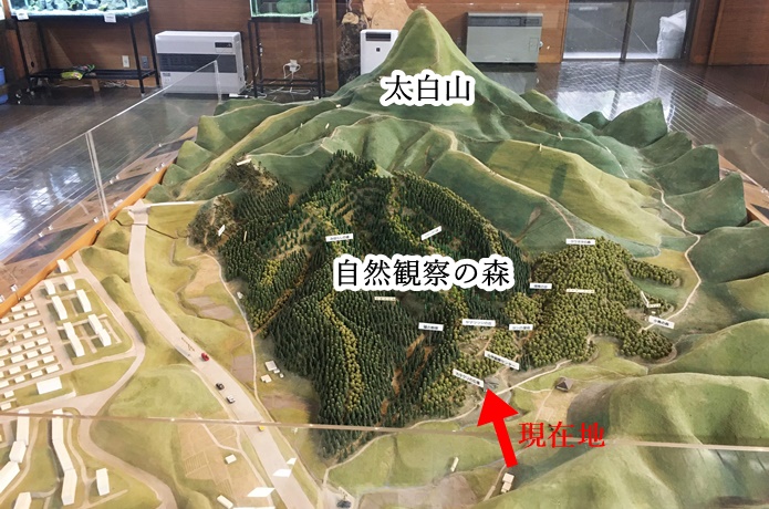 太白山　模型