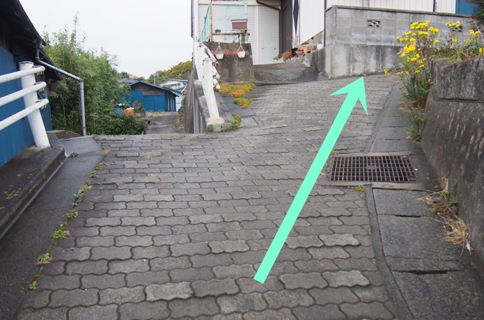 桂島　分かれ道