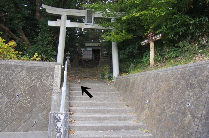 桂島　猫