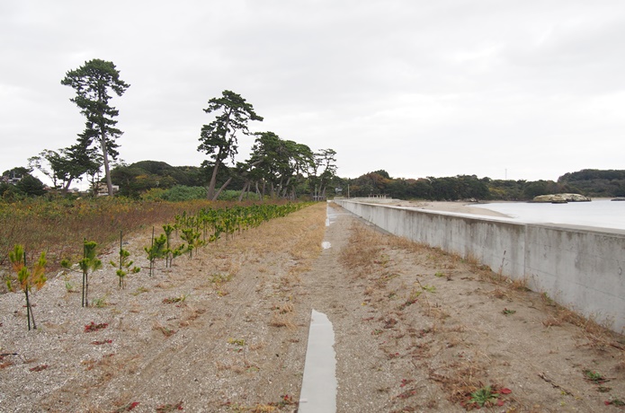 桂島海水浴場