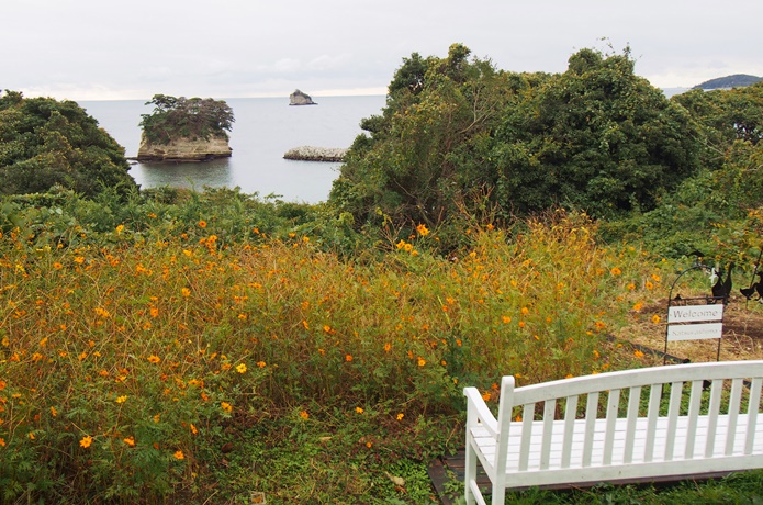 桂島　菜の花畑