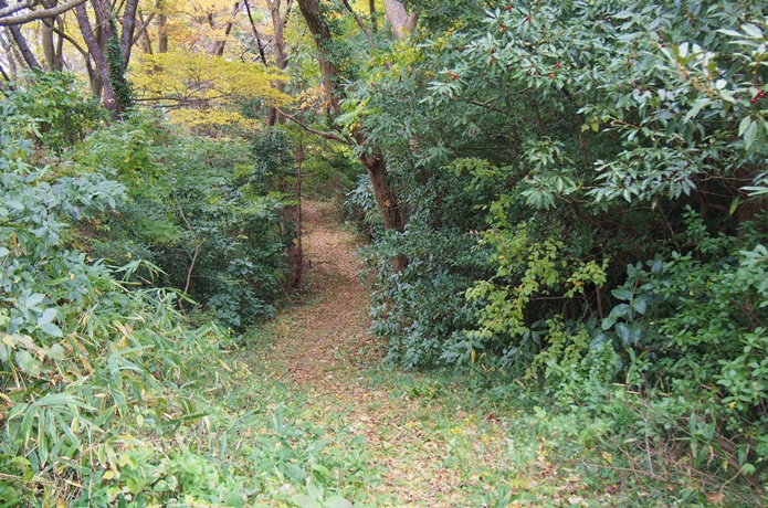 桂島　津森山