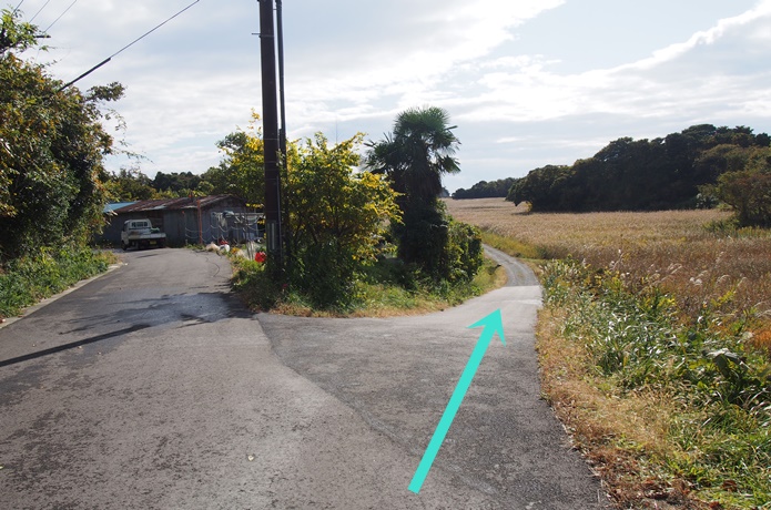 寒風沢島　田園地帯　入口