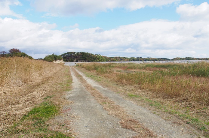 田園地帯　分かれ道