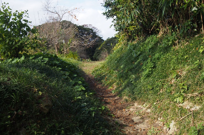 朴島　道