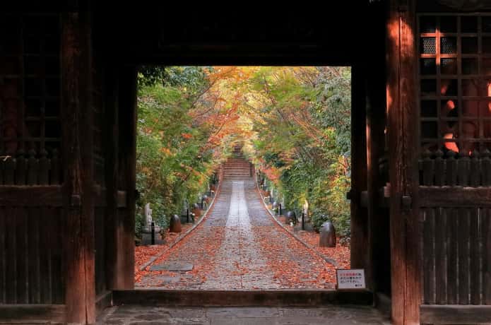 輪王寺　参道