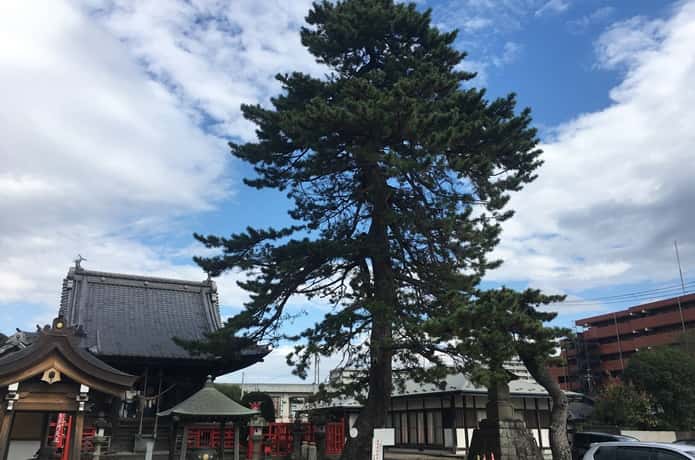 満腹寺　境内