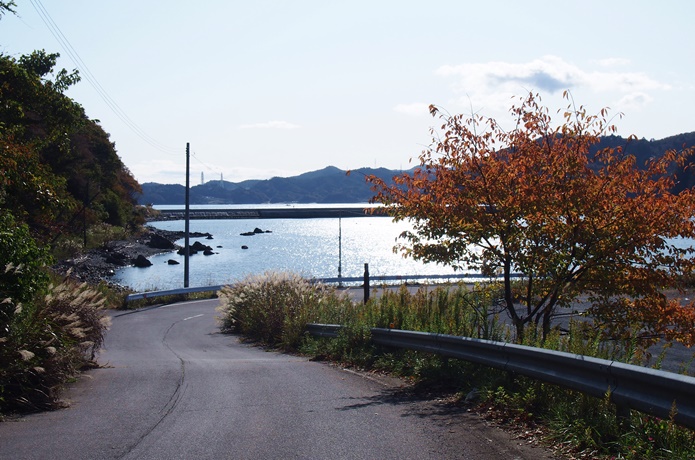 女川町　波止場への道