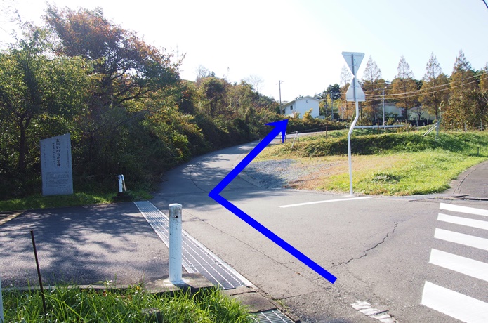 コバルトラインの分岐点