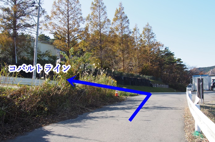 コバルトライン