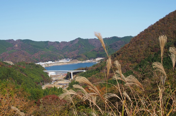 コバルトラインからみる女川の海