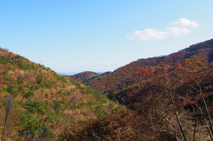 コバルトライン　山の中の景色