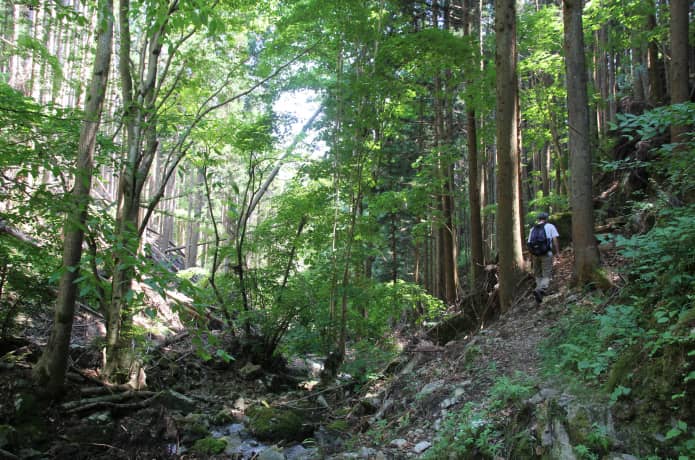 田束山　行者の道