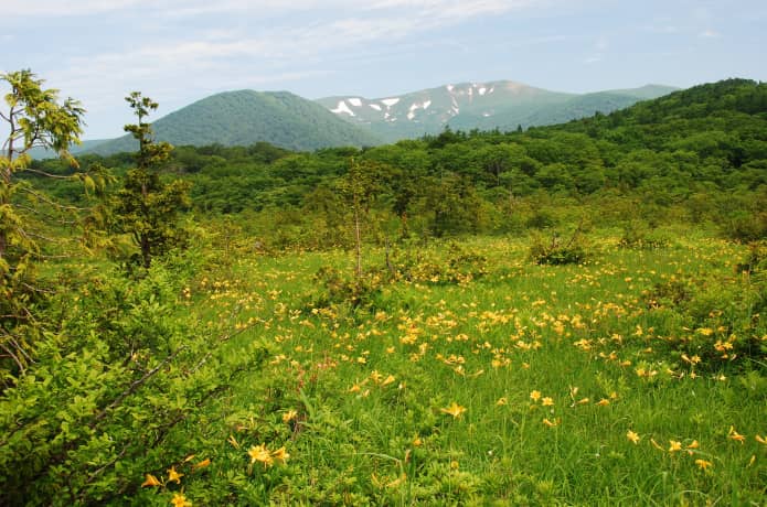 世界谷地原生花園