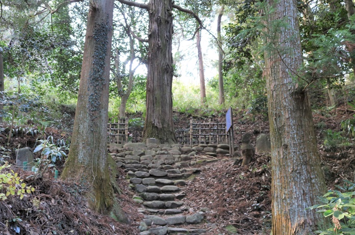 片倉小十郎の一本杉