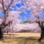 三神峯公園