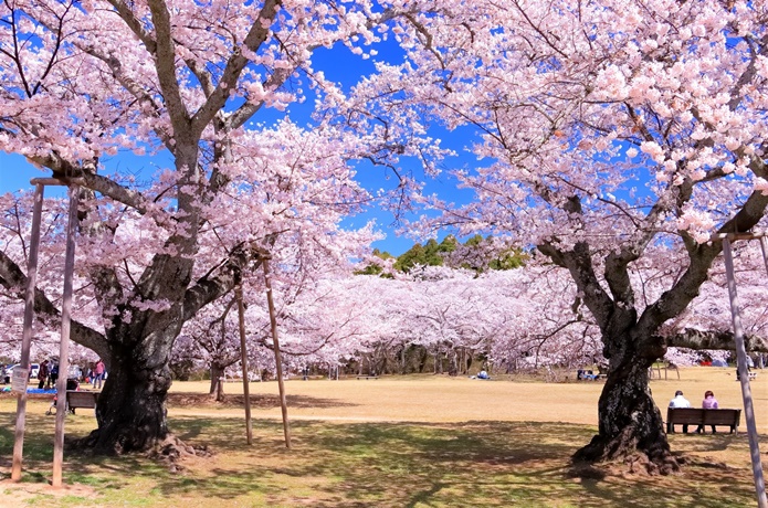三神峯公園
