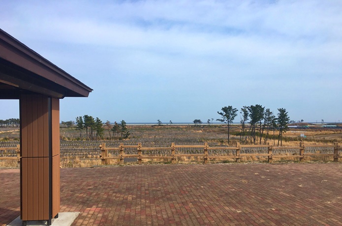 岩沼海浜緑地　展望台からのぞむ景色