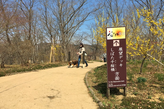 船岡城址公園 遊歩道