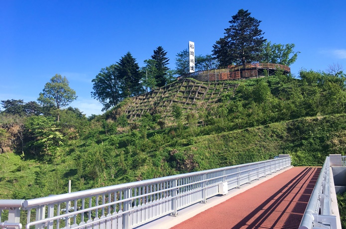 船岡城址公園と樅ノ木