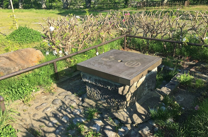 船岡城址公園　城中井戸