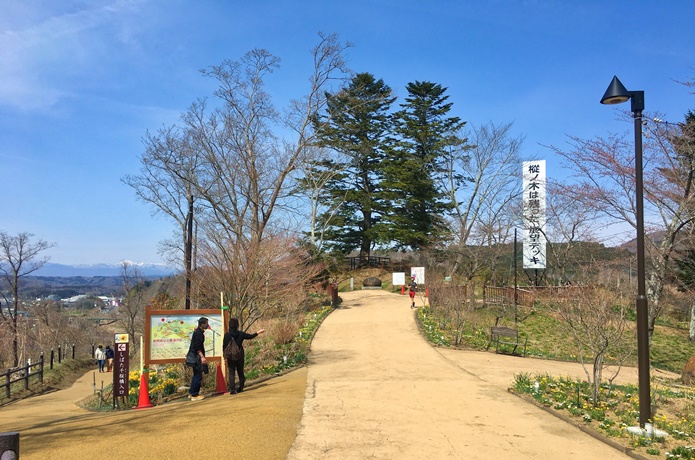 船岡城址公園 桃ノ木が残った展望台
