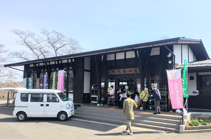 船岡城址公園 さくらの里