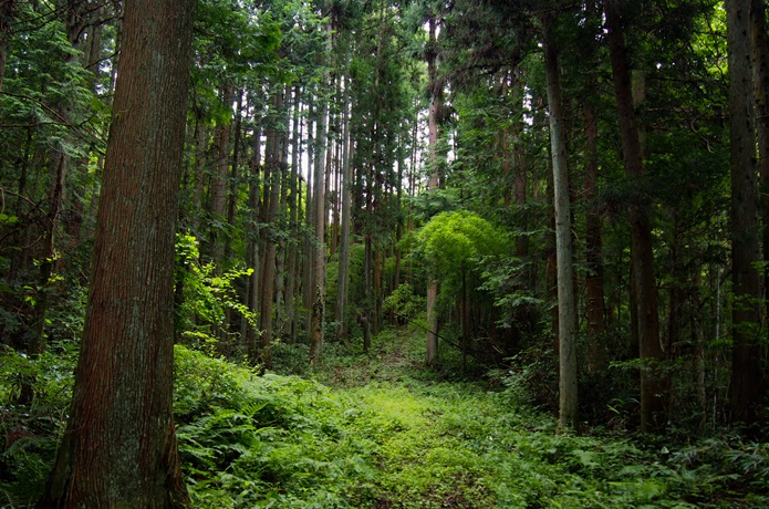 川楯城