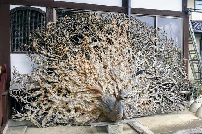 円福寺　川崎町　孔雀