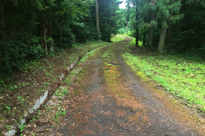 上楯城　歩道